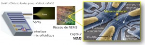 reseau+spray